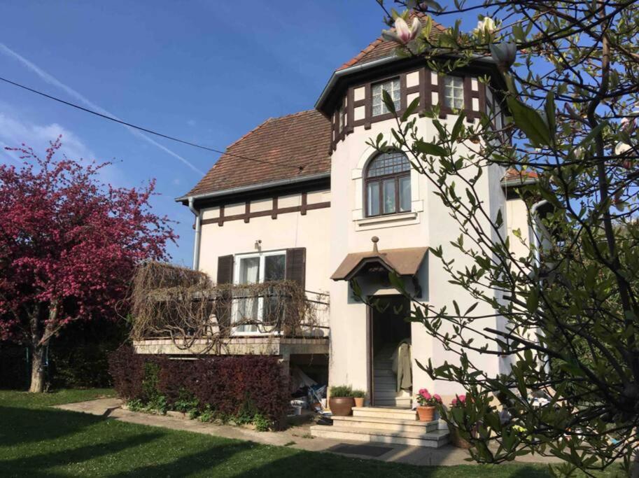 Gemuetliches Tinyhouse Im Garten Einer Villa Bad Sauerbrunn Exterior foto